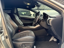 2019 LEXUS NX300 2.0 F SPORT CBU Japan Spec REG 2024 Grade 5A Car 
