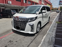2015 丰田ALPHARD 2015 丰田星宿 2.5 (一个) 注册 2019 翻新 