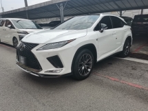 2021 雷克萨斯 RX300 F SPORT 全新改款全景车顶