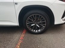 2021 雷克萨斯 RX300 F SPORT 全新改款全景车顶
