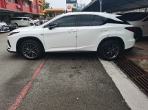 2021 雷克萨斯 RX300 F SPORT 全新改款全景车顶