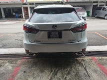 2021 雷克萨斯 RX300 F SPORT 全新改款全景车顶