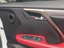 2021 雷克萨斯 RX300 F SPORT 全新改款全景车顶