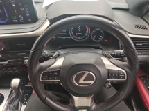 2021 雷克萨斯 RX300 F SPORT 全新改款全景车顶