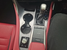 2021 雷克萨斯 RX300 F SPORT 全新改款全景车顶