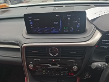 2021 雷克萨斯 RX300 F SPORT 全新改款全景车顶