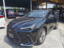 2023 LEXUS NX 250 LUXURY - MARK LEVINSON,SUNROOF/MOONROOF (5A) 