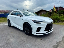 2023 LEXUS RX 350, Mark levinson sound, TRD kit, Full Spec