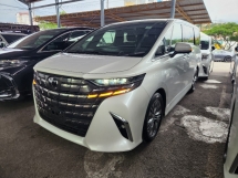 2024 TOYOTA ALPHARD Z (6A 2,000km) Double Sun Roof Original Auto Side Step 360 Camera DIM BSM Roof Monitor 