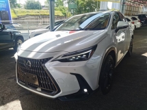 2022 LEXUS NX 250 LUXURY - SUNROOF (7 YEARS WARRANTY)