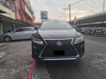 2018 雷克萨斯RX300雷克萨斯RX300 2.0 (一个) F-SPORT
