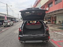 2018 雷克萨斯RX300雷克萨斯RX300 2.0 (一个) F-SPORT