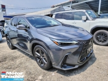 2022 LEXUS NX 250 VERSION L 360 CAMERA 3,000KM GRADE 5A
