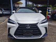 2023 LEXUS NX 250 VL (SUNROOF/MOONROOF) GRADE 5A 