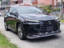 2022 LEXUS NX 250 Luxury Version L Latest Model 
