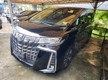 2021 TOYOTA ALPHARD 2.5 SC D&B 18in t/monitor 3led