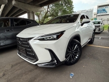 2023 LEXUS NX 250 VL SUNROOF ELECTRIC MEMORY SEATS 360 CAMERA POWER BOOT HUD BSM SYSTEM 20 RIM