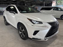 2020 LEXUS NX300 2.0 Spice Chic Edition UNREG & 8 YEARS Warranty