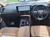 2022 LEXUS NX nx250