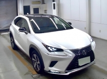 2021 LEXUS NX300 2.0T (A) SPICE & CHIC EDITION 360 CAM P/ROOF UNREG
