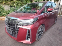 2020 TOYOTA ALPHARD 2.5 SC ROOF MONITOR SUNROOF BSM DIM UNREG 20