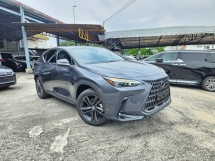 2022 LEXUS NX NX250 NX 250 Luxury Edition Cloudburst Grey Color (Grade 5A Original 3,000km) HUD 360 Camera Unreg