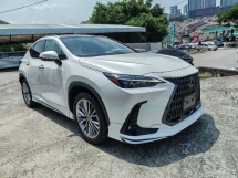 2023 LEXUS NX 250 VERSION L PANORAMIC ROOF MODELLISTA BODYKIT