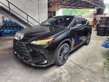 2023 LEXUS NX NX250 Luxury Full Spec Red Leather (Grade 5A) Panoramic Roof 360 Camera HUD Rear Auto Seat NX 250