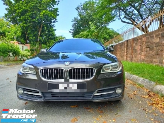 2013 BMW 5 SERIES 520I