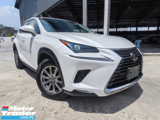2019 LEXUS NX300 2.0 IPACKAGE RED FABRIC SEAT SPECIAL OFF CHEAPEST