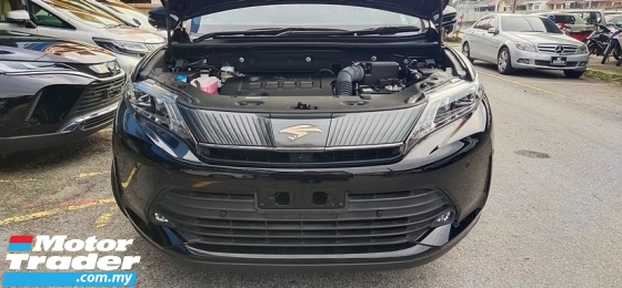 2020 鹞 2.0 优雅 (一个) 未注册, 4C级, 9ķKM, 5年保修期