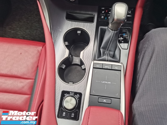 2021 雷克萨斯 RX300 雷克萨斯 RX300 2.0cc F-SPORT  (一个) REG 2022