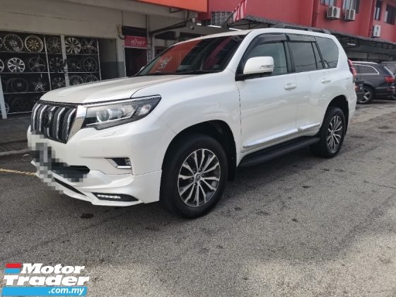 2019 丰田陆地巡洋舰 2.8 普拉多TX (一个) REG 2024