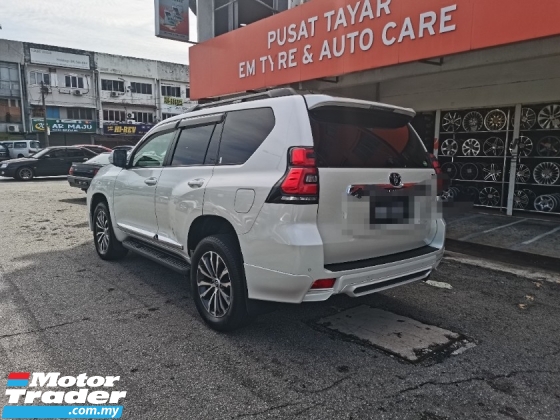2019 丰田陆地巡洋舰 2.8 普拉多TX (一个) REG 2024