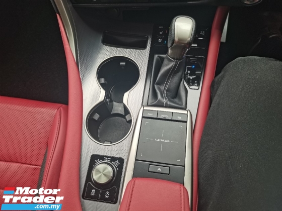 2021 雷克萨斯 RX300 F SPORT 全新改款全景车顶