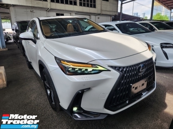 2022 LEXUS NX NX250 Luxury FULL SPEC (15,000km) Sun Roof Head Up Display 360 Camera Rear Auto Fold Seat Ambient 