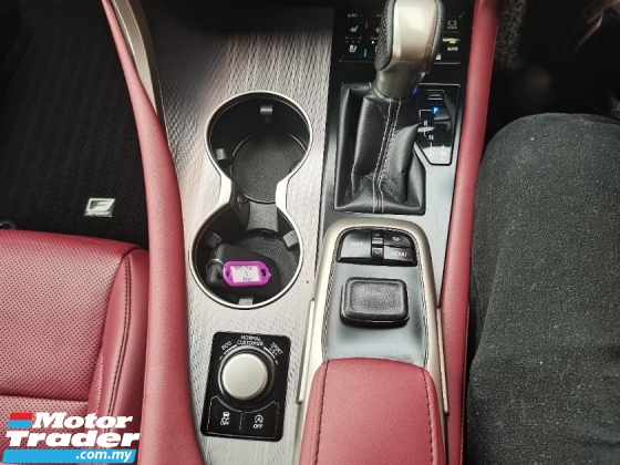 2018 雷克萨斯RX300雷克萨斯RX300 2.0 (一个) F-SPORT