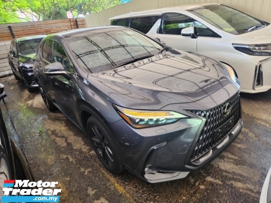 2022 LEXUS NX NX250 Luxury Grey Color (5A 3,000km) Head Up Display 360 Surround Camera Rear Auto Seat Power Boot 