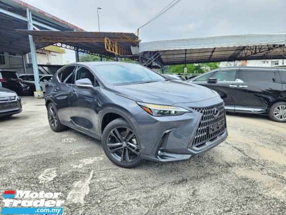 2022 LEXUS NX NX250 NX 250 Luxury Edition Cloudburst Grey Color (Grade 5A Original 3,000km) HUD 360 Camera Unreg
