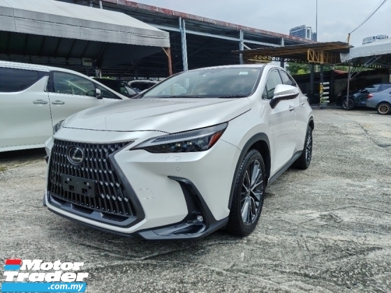 2023 LEXUS NX 250 VERSION L SUN ROOF 360 CAMERA DIM BSM HUD